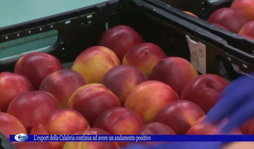 L’export della Calabria continua ad avere un andamento positivo 5 ottobre 2022