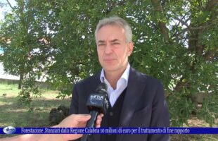 Forestazione Stanziati dalla Regione Calabria 10 milioni di euro per il trattamento di fine rapporto