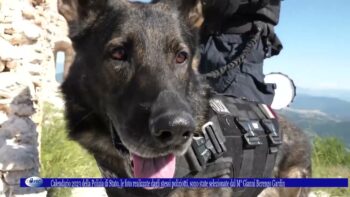 Calendario 2023 della Polizia di Stato Le foto realizzate dagli stessi poliziotti sono state selezio