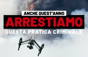 Calabria. Campagna antincendio boschivo 2023
