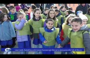 Laino Castello Radici&Futuro nella Giornata Nazionale degli Alberi