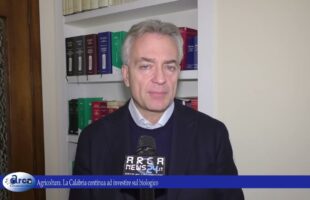 Agricoltura La Calabria continua ad investire sul biologico