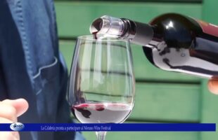 La Calabria pronta a partecipare al Merano Wine Festival