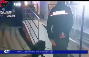 Cosenza CC Operazione Romeo e Giulietta Smantellato giro di droga