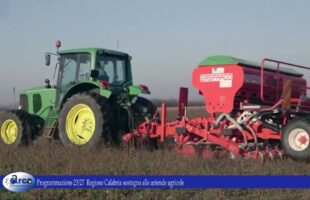 Programmazione 23/27 Regione Calabria sostegno alle aziende agricole