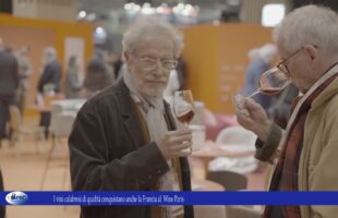 I vini calabresi di qualità conquistano anche la Francia al Wine Paris 1