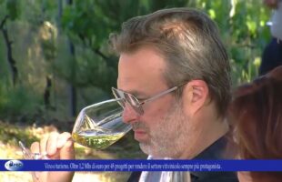 Vino e turismo. Oltre 1,2 Mln di euro per 48 progetti