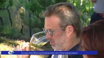 Vino e turismo. Oltre 1,2 Mln di euro per 48 progetti