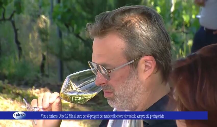 Vino e turismo. Oltre 1,2 Mln di euro per 48 progetti