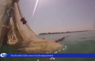 Pesca della sardella in Calabria. Ancora un anno della campagna sperimentale