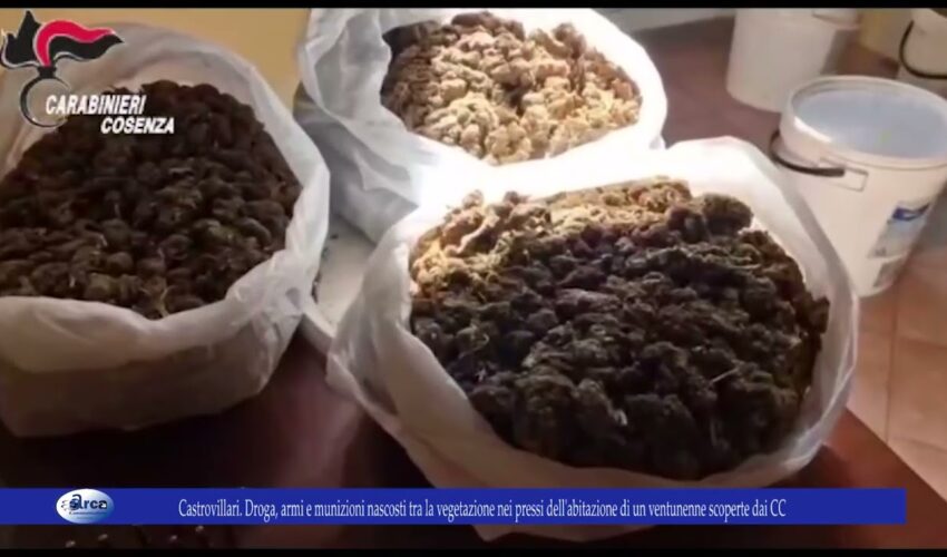 Castrovillari. Droga, armi e munizioni nascosti scoperte dai CC