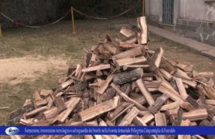 Formazione, innovazione tecnologica salvaguardia dei boschi nella Foresta demaniale Pellegrina