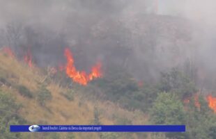 Incendi boschivi Calabria via libera a due importanti progetti