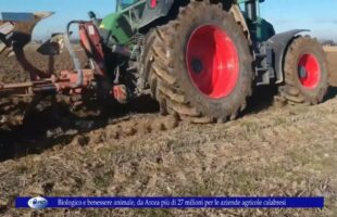 Biologico e benessere animale, da Arcea più di 27 milioni per le aziende agricole calabresi