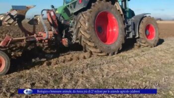 Biologico e benessere animale, da Arcea più di 27 milioni per le aziende agricole calabresi