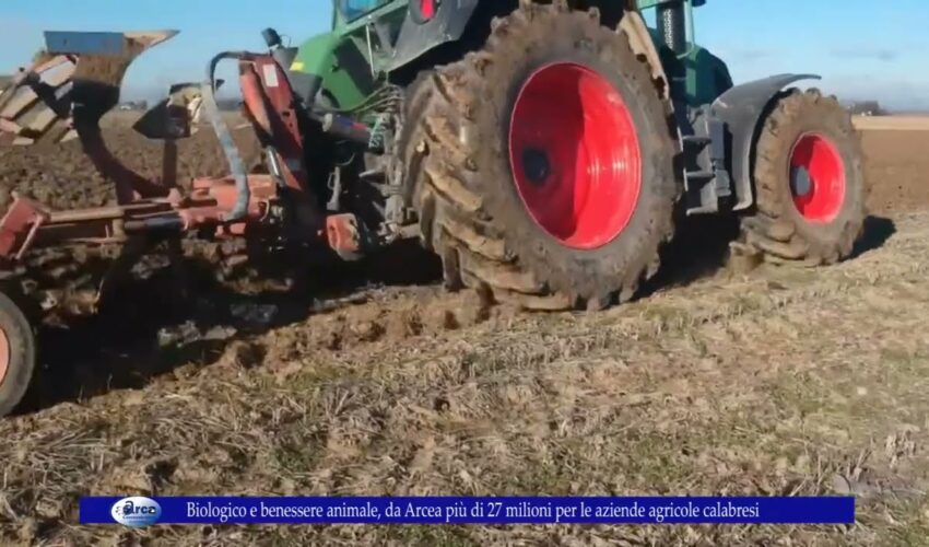 Biologico e benessere animale, da Arcea più di 27 milioni per le aziende agricole calabresi