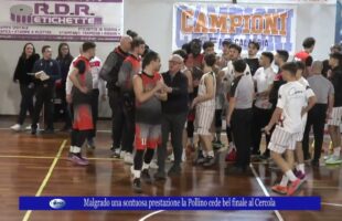 Malgrado una sontuosa prestazione la Pollino cede nel finale al Cercola