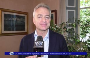 La Calabria Assessorato all’Agricoltura a Bruxelles per l’incontro annuale del PSR 2014 2022