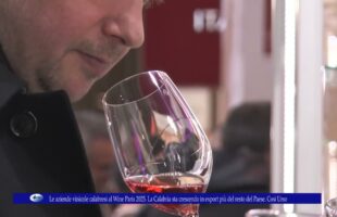 Le aziende vinicole calabresi al Wine Paris 2025