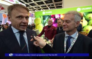 I vini calabresi conquistano i visitatori e gli appassionati del Wine Paris 2025