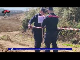 Rende. Carabinieri Forestali sequestrano area boscata oggetto di estirpazione non autorizzata