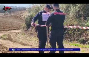 Rende. Carabinieri Forestali sequestrano area boscata oggetto di estirpazione non autorizzata