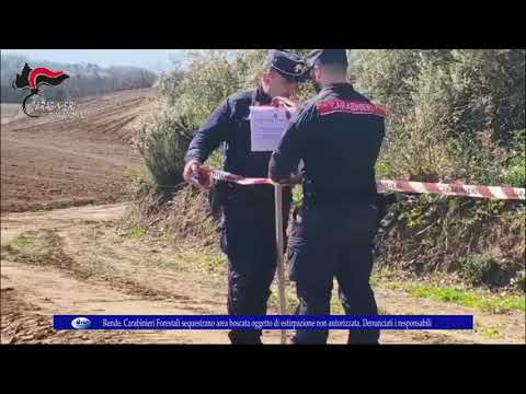 Rende. Carabinieri Forestali sequestrano area boscata oggetto di estirpazione non autorizzata