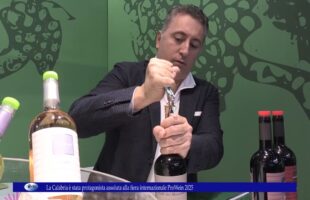 La Calabria è stata protagonista assoluta alla fiera internazionale ProWein 2025