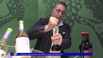La Calabria è stata protagonista assoluta alla fiera internazionale ProWein 2025