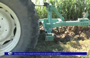 Sblocco Refresh 2024 Arcea liquida circa 20 mln di euro alle aziende agricole calabresi