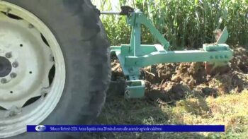 Sblocco Refresh 2024 Arcea liquida circa 20 mln di euro alle aziende agricole calabresi