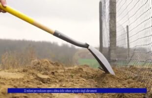 22 milioni per realizzare opere a difesa delle colture agricole e degli allevamenti