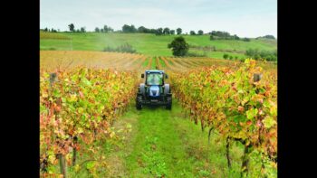 Agricoltura Approvata graduatoria definitiva del bando biologico 2024