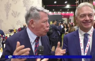 Vinitaly 2025. SPECIALE La Calabria protagonista assoluta