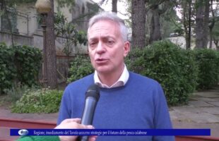 Regione, insediamento del Tavolo azzurro Strategie per il futuro della pesca calabrese