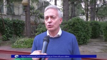 Regione, insediamento del Tavolo azzurro Strategie per il futuro della pesca calabrese