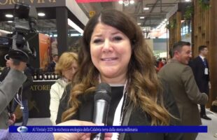 Al Vinitaly 2025 la ricchezza enologica della Calabria terra dalla storia millenaria.
