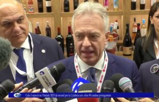 Cala il sipario su Vinitaly 2025 da record per la Calabria con oltre 90 cantine protagoniste