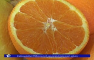 La Calabria protagonista al Macfrut 2025 di Rimini