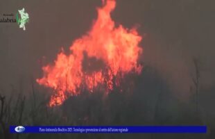 Piano Antincendio Boschivo 2025 Tecnologia e prevenzione al centro dell’azione regionale