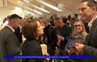 Cirò Tutto pronto per Merano WineFestival Calabria l’essenza del Sud dal 7 al 9 giugno 2025