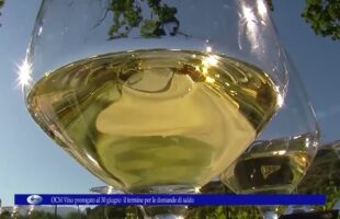 OCM Vino prorogato al 30 giugno il termine per le domande di saldo