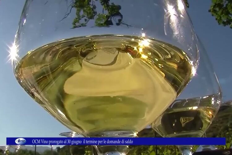 OCM Vino prorogato al 30 giugno il termine per le domande di saldo