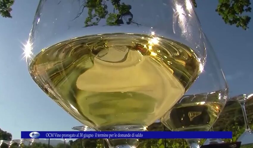 OCM Vino prorogato al 30 giugno il termine per le domande di saldo