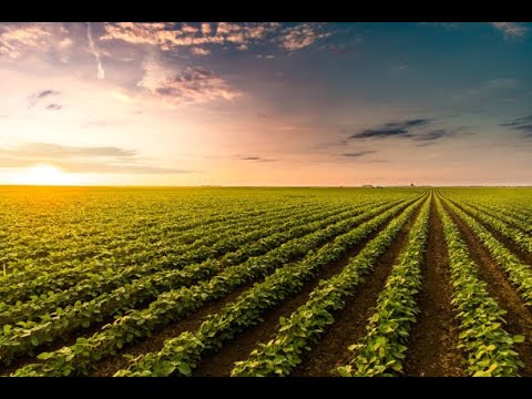 Presentato bando da 40 milioni di euro per giovani agricoltori calabresi