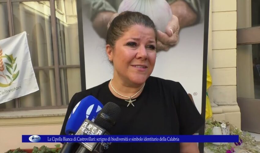 Cipolla Bianca di Castrovillari scrigno di biodiversità e simbolo identitario della Calabria