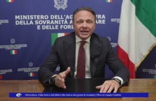 Olivicoltura. Dalla terra e dall’albero, alla ricerca; due giorni di Academy Olivo in Campo Calabria