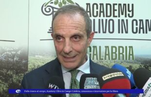 Dalla ricerca al campo, Academy Olivo in Campo Calabria, conoscenza e innovazione per la filiera